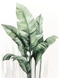 Botanisk illustration med gröna bananblad