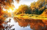 Glödande höstmorgon vid sjön
