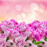 Pioners vårbadsdröm i rosa toner