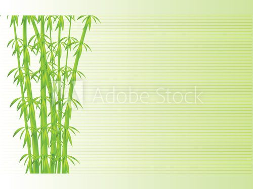 Bamboo