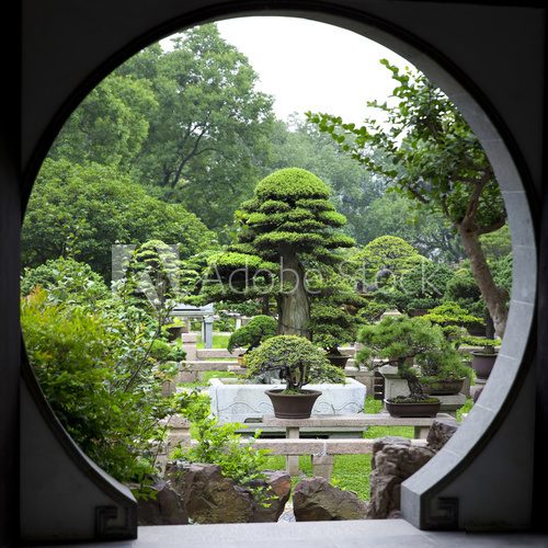 Bonsai Garden - Suzhou - China