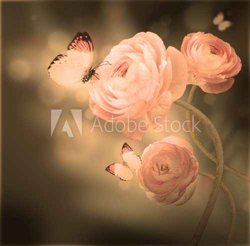 Bouquet of pink roses against a dark background  butterfly