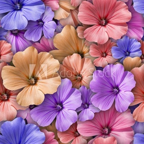 Colorful background with Geranium flower. Seamless pattern.