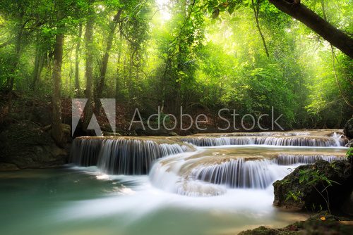 Deep forest waterfall