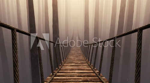 Suspension bridge