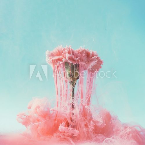 Pink carnation flower with pastel ink. Creative abstract spring nature. Summer bloom concept.