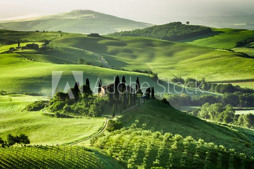 Farm of olive groves and vineyards