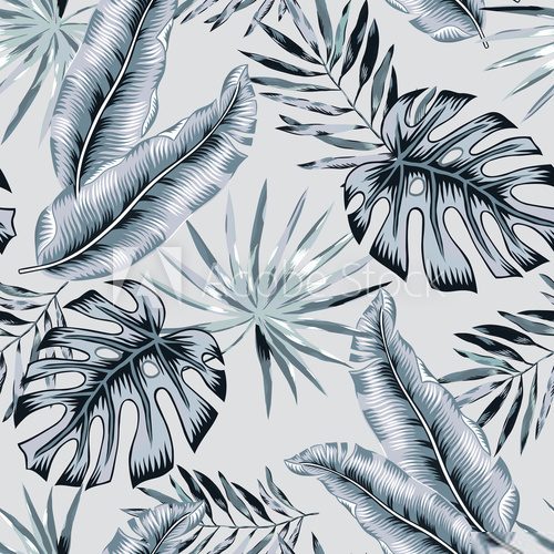 Gray banana, monstera palm leaves background. Vector seamless pattern. Tropical jungle foliage illustration. Exotic plants greenery. Summer beach floral design. Paradise nature.