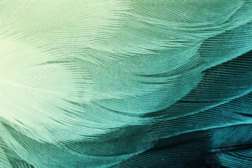 green and yellow color tone vintage background