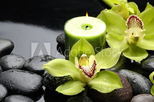 Green orchid and candle on black stones