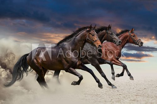 Horses running at a gallop along the sandy field