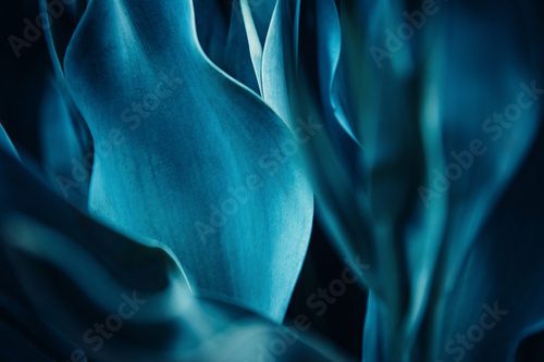 Abstract flora natural cyan blue background from flowers, macro photo