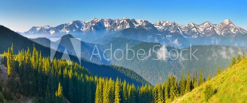 Morning view of spring forest and mountains with snow
