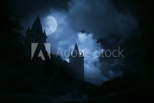 Mysterious medieval castle