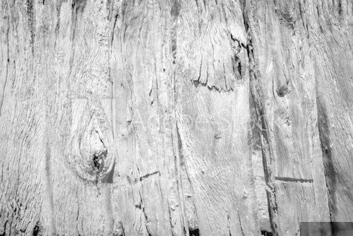 Old Wooden Fence Black and White