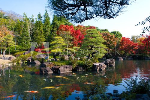 On a sunny day in autumn at the Koko-en outdoor park Osaka Japan