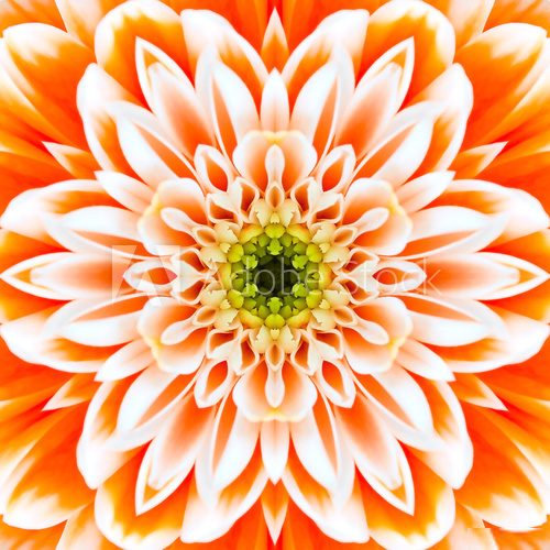 Orange Concentric Flower Center. Mandala Kaleidoscopic design