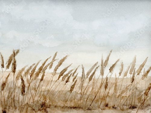 Pampas Wild Flower Grass Field Landscape, Hand Drawn and Painted Watercolor