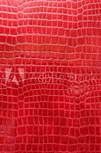 Red crocodile leather