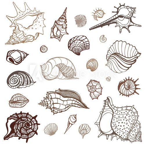 Sea collection. Hand drawn vector illustration