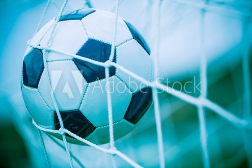 Soccer Ball into the Net