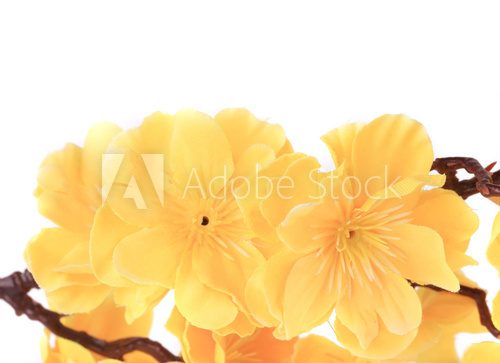 Yellow artificial flowers.