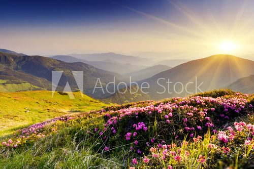 mountain landscape
