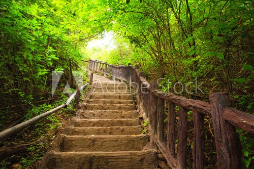 Stairway to forest, Kanchanburi,Thailand