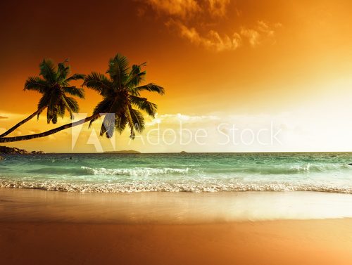 sunset on the beach of caribbean sea