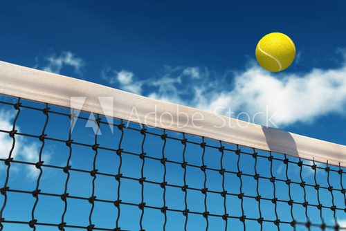 Tennis Ball over Net