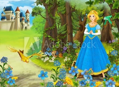 The princesses - castles - knights and fairies