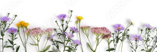 Floral and plants on white background. Frame of flowers. March 8, mother's day background. Top view, flat lay. Composition of wild flowers. Flower pattern.