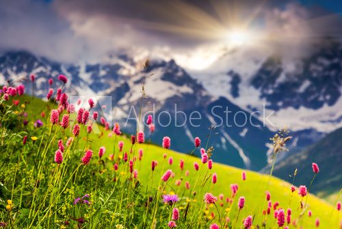 mountain landscape