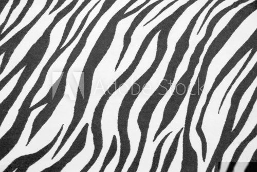 Zebra Textile Texture