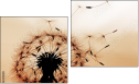 Diptych