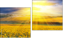 Diptych