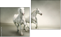 Diptych