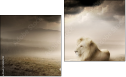 Diptych