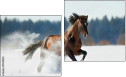 Diptych
