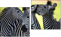 Diptych
