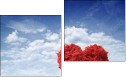 Diptych