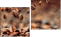 Diptych