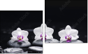 Diptych