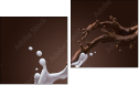 Diptych