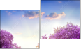 Diptych
