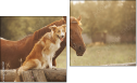 Diptych