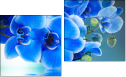 Diptych