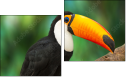 Diptych