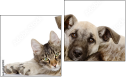 Diptych