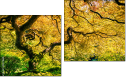 Diptych
